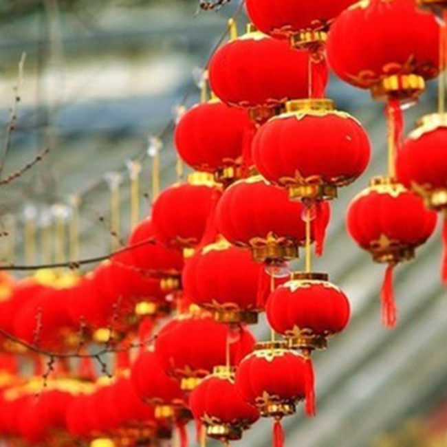 10 quả đèn lồng nhung quả cầu trang trí cây đào, quất ngày Tết