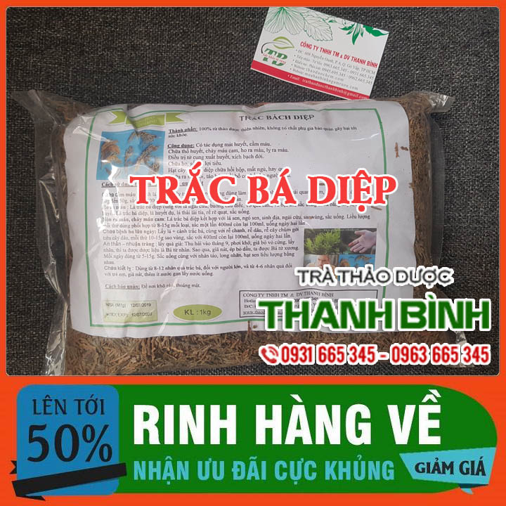 [FreeshipMAX]  Trắc Bá Diệp 500G - Hàng Công Ty Chất Lượng_Đông Y Thanh Bình