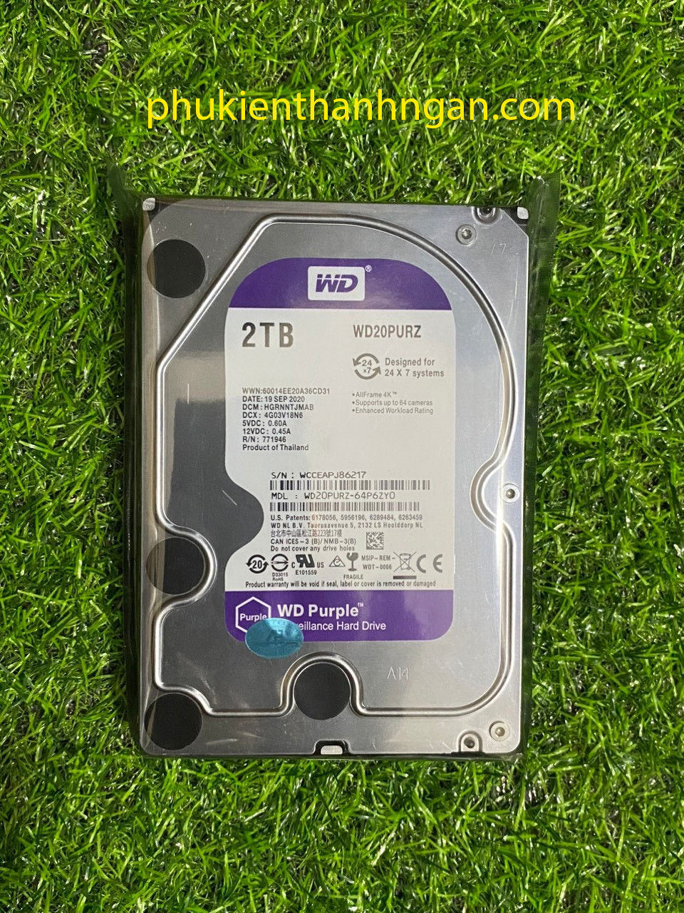 Ổ cứng 2tb western purple