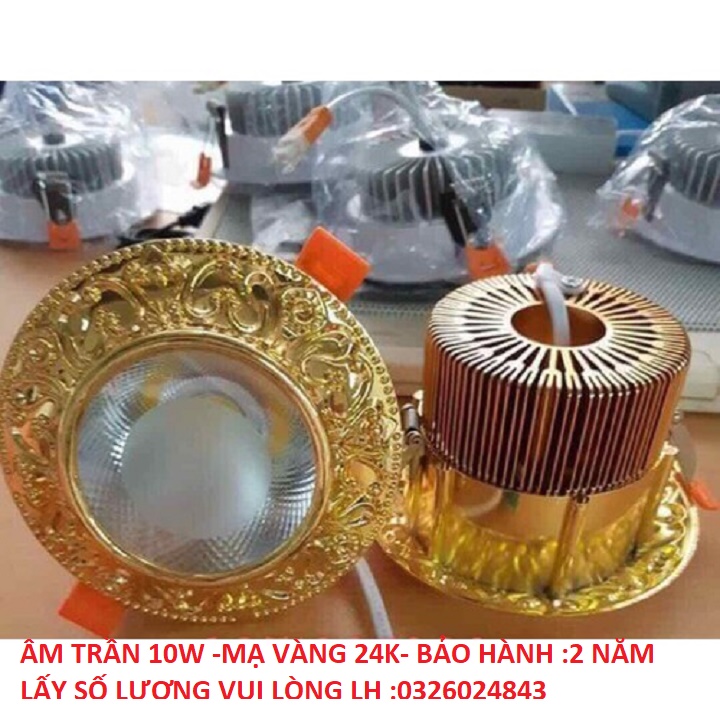 Đèn âm trần hoa văn cổ điển cao cấp cho phòng khách, biệt thự, khách sạn