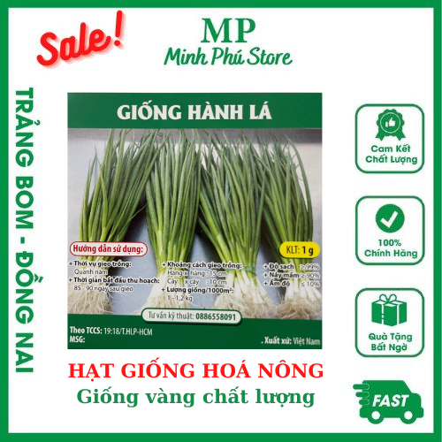 Giống Hành Lá - 1g - Hạt Hoá Nông Chịu Nhiệt Trồng Quanh Năm Nảy Mầm Tốt