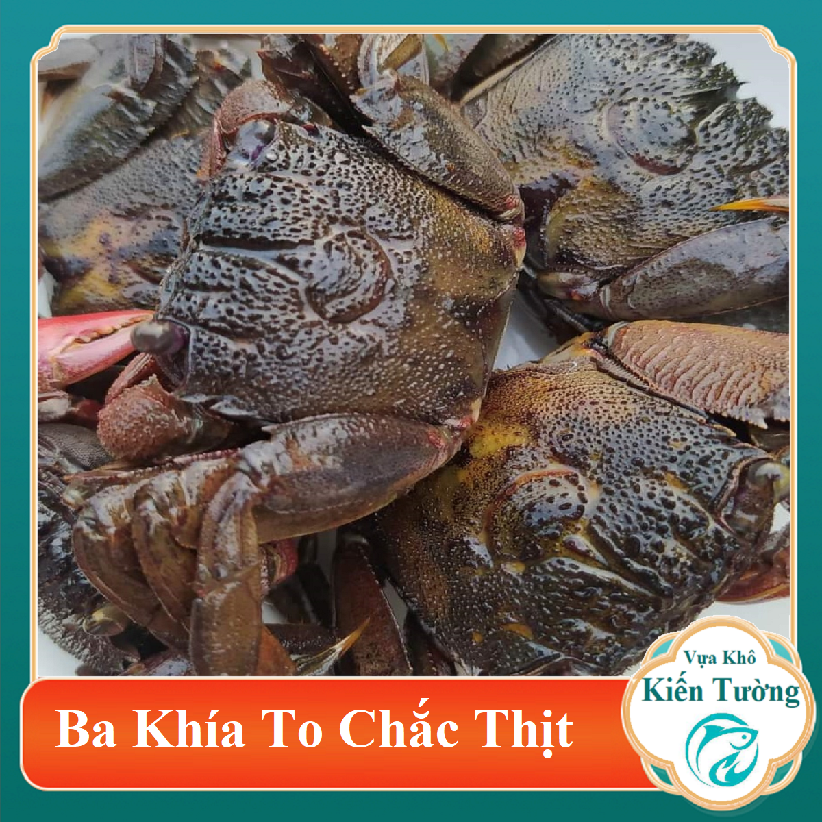 MẮM BA KHÍA NGUYÊN CON ĐẶC SẢN RẠCH GỐC BẠC LIÊU hũ 500gr-Vựa Khô Kiến Tường