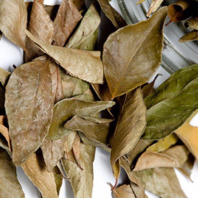 1kg lá móc mật khô