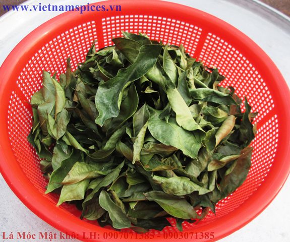 Lá Móc Mật khô 100gram