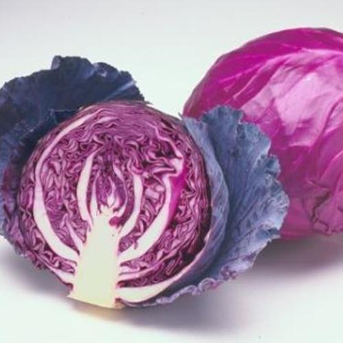 Hạt Giống Rau Cải Bắp Tím F1. Túi 0,2 Gram - Khoảng 30 Hạt