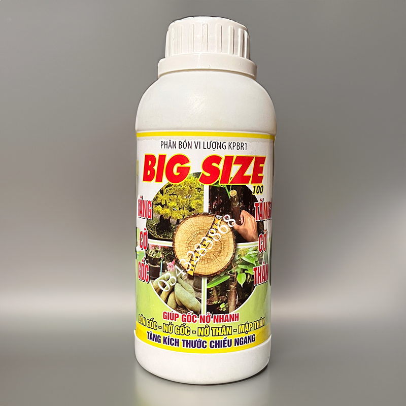 Phân bón mập thân nở gốc mập cọng dưỡng rễ to đế big size 500ml