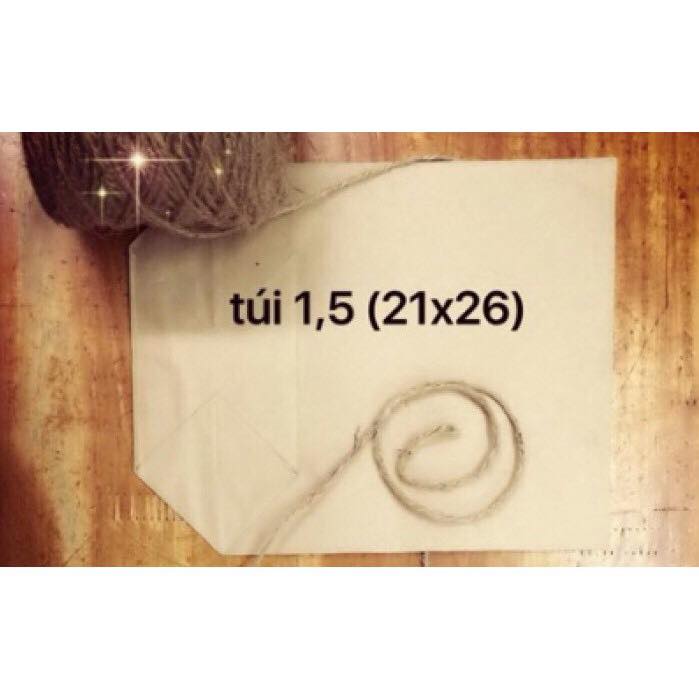100 túi giấy kraft t1.5 kích thước 21 x 26cm