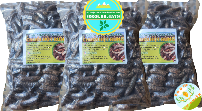 Combo 3kg Chuối hột rừng Tây nguyên sấy khô hàng Kon Tum chuyên dùng ngâm rượu