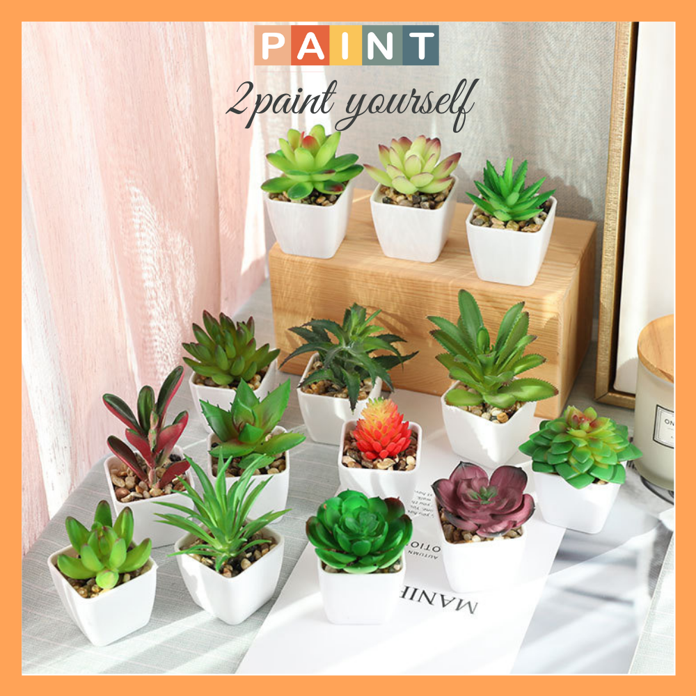 Sen đá mini kèm chậu trắng, chậu cây decor phong cách Hàn Quốc