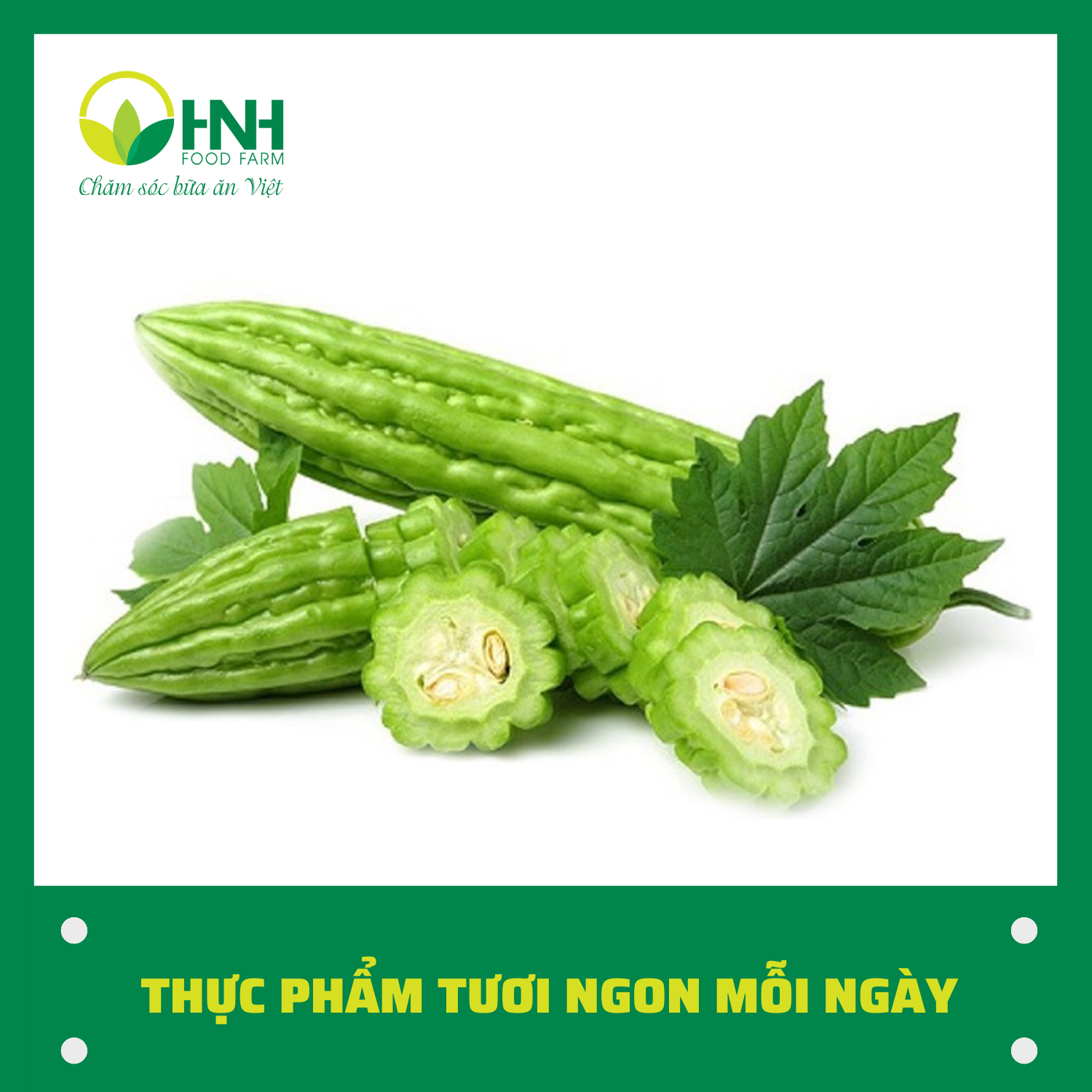 [CHỈ GIAO HÀ NỘI] Mướp đắng sạch ngon trợ giá mùa dịch - HNH Food Farm