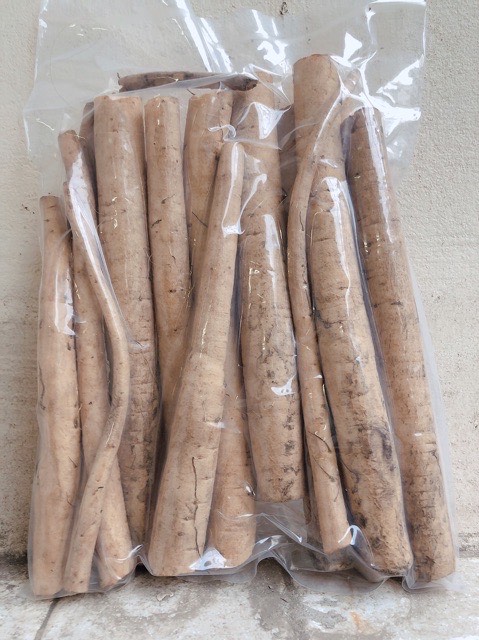 Củ ngưu bàng tươi 1 kg