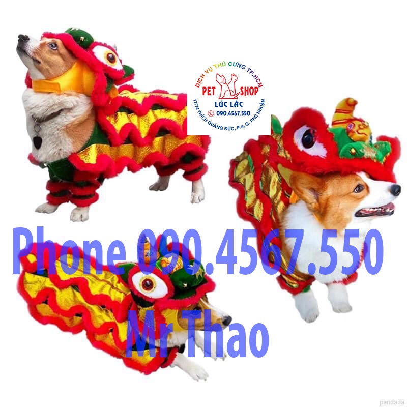 Bộ trang phục múa lân đáng yêu dành cho thú cưng , Lân Đầu Rời.