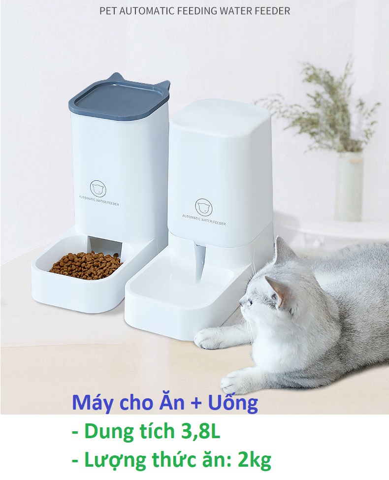 STVX - Máy cho chó mèo ăn uống bán tự động dành cho chó mèo lớn Loại có bồn chứa 3,8 lít- Bộ Bát cho chó mèo ăn và uống/ Chén ăn cho chó mèo - / chén ăn chó -