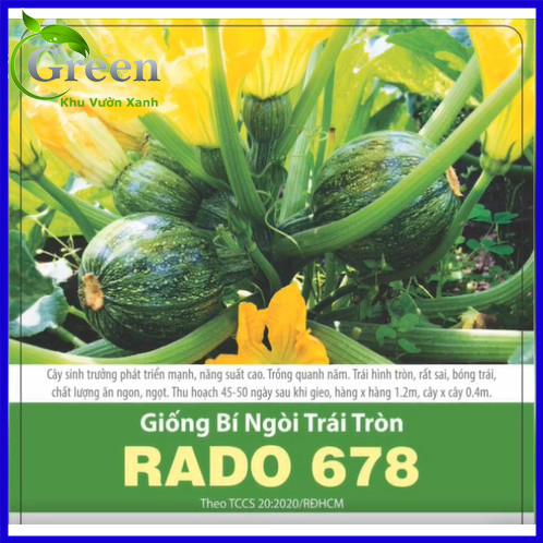 Hạt Giống Bí Ngòi Trái Tròn (1G)