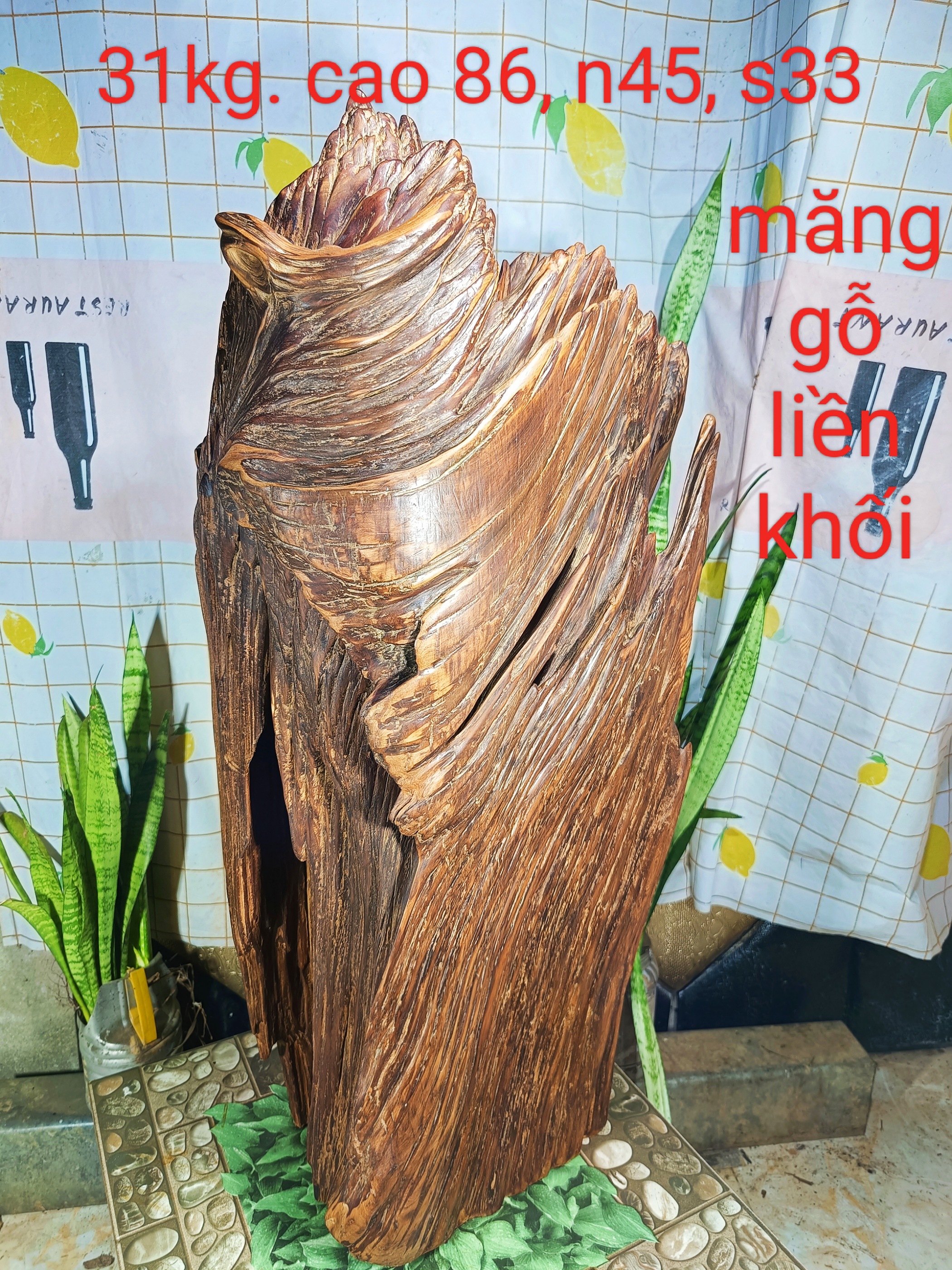 Lũa gỗ thơm ngọc am đỏ hà giang