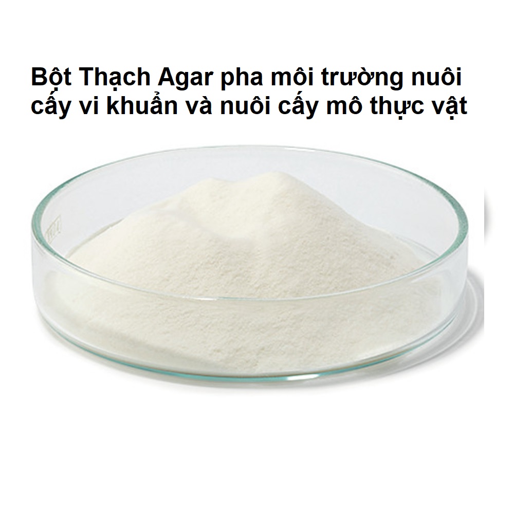 Bột Thạch Agar pha môi trường nuôi cấy vi khuẩn và nuôi cấy mô thực vật
