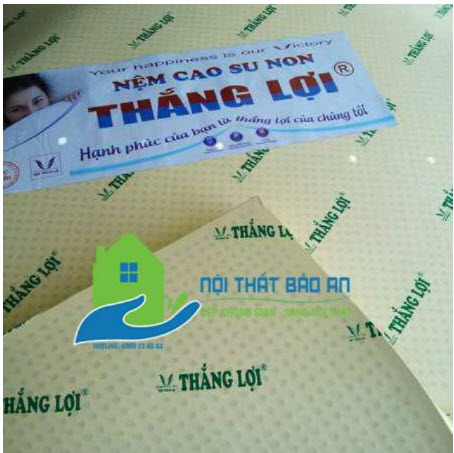 Nệm cao su non thắng lợi 180x200x10cm