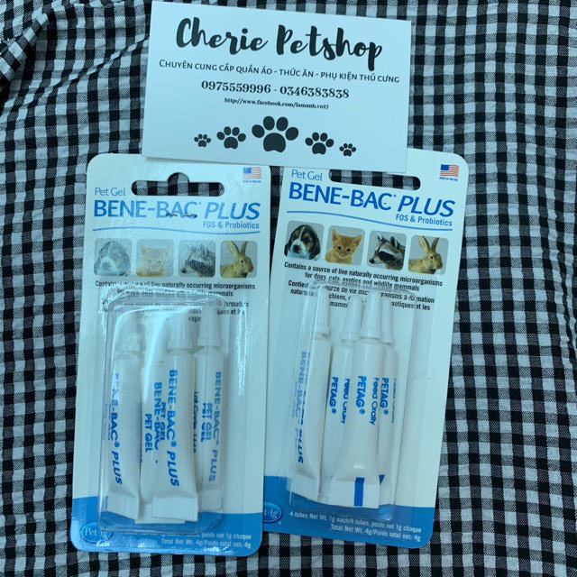 Men hỗ trợ đường ruột tiêu hóa Bene Bac Plus ống 15gr