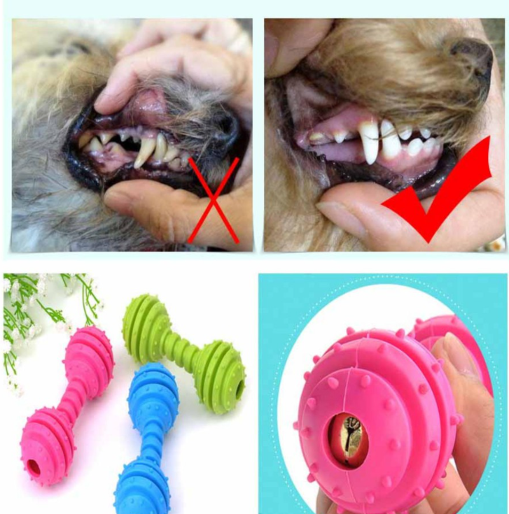 Đồ Chơi Cao Su Bóng Quả Tạ Lục Lạc Cho Chó MÈO THÚ CƯNG