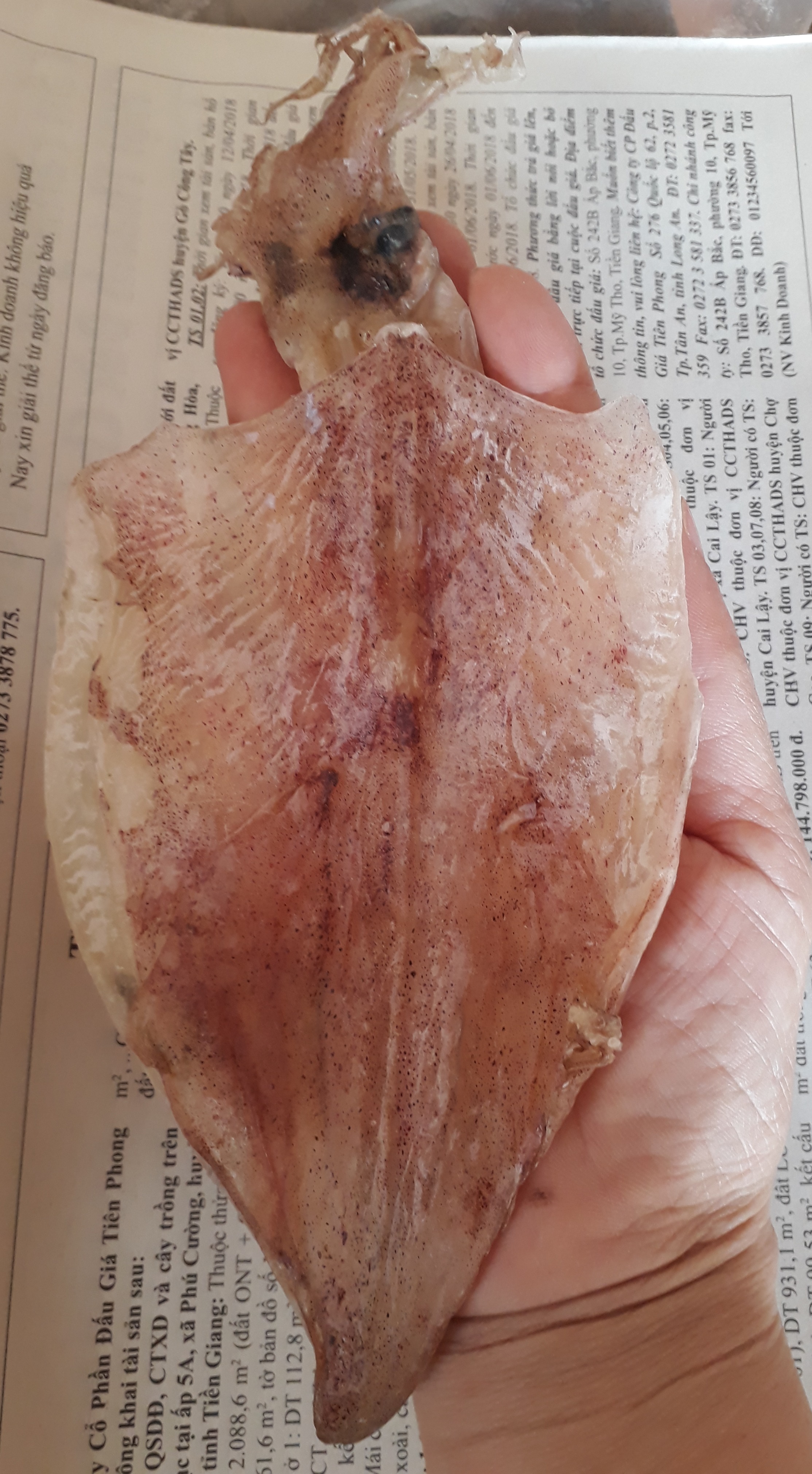 500g con khô mực gò công