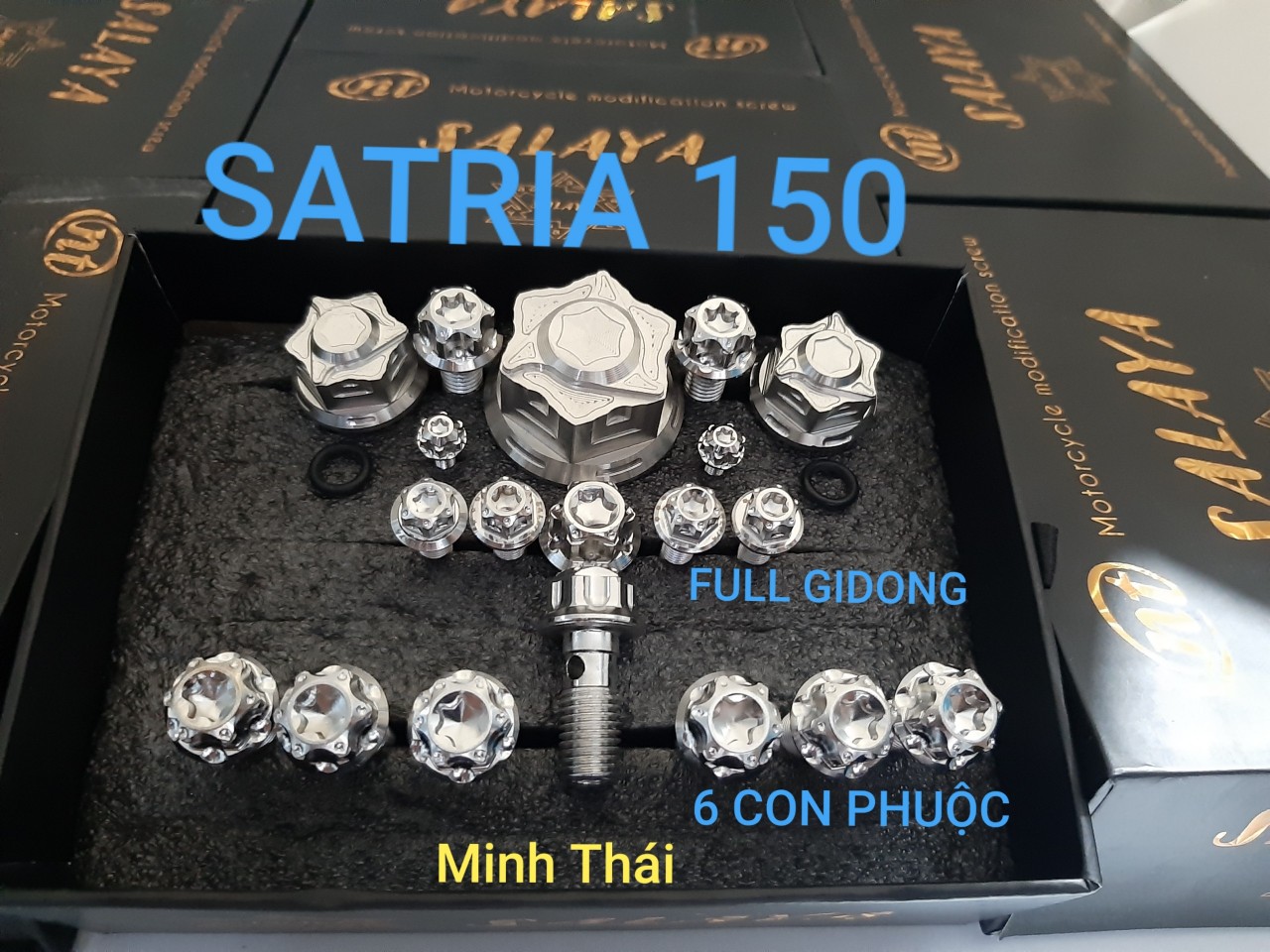 Full đầu xe satria 19 con
