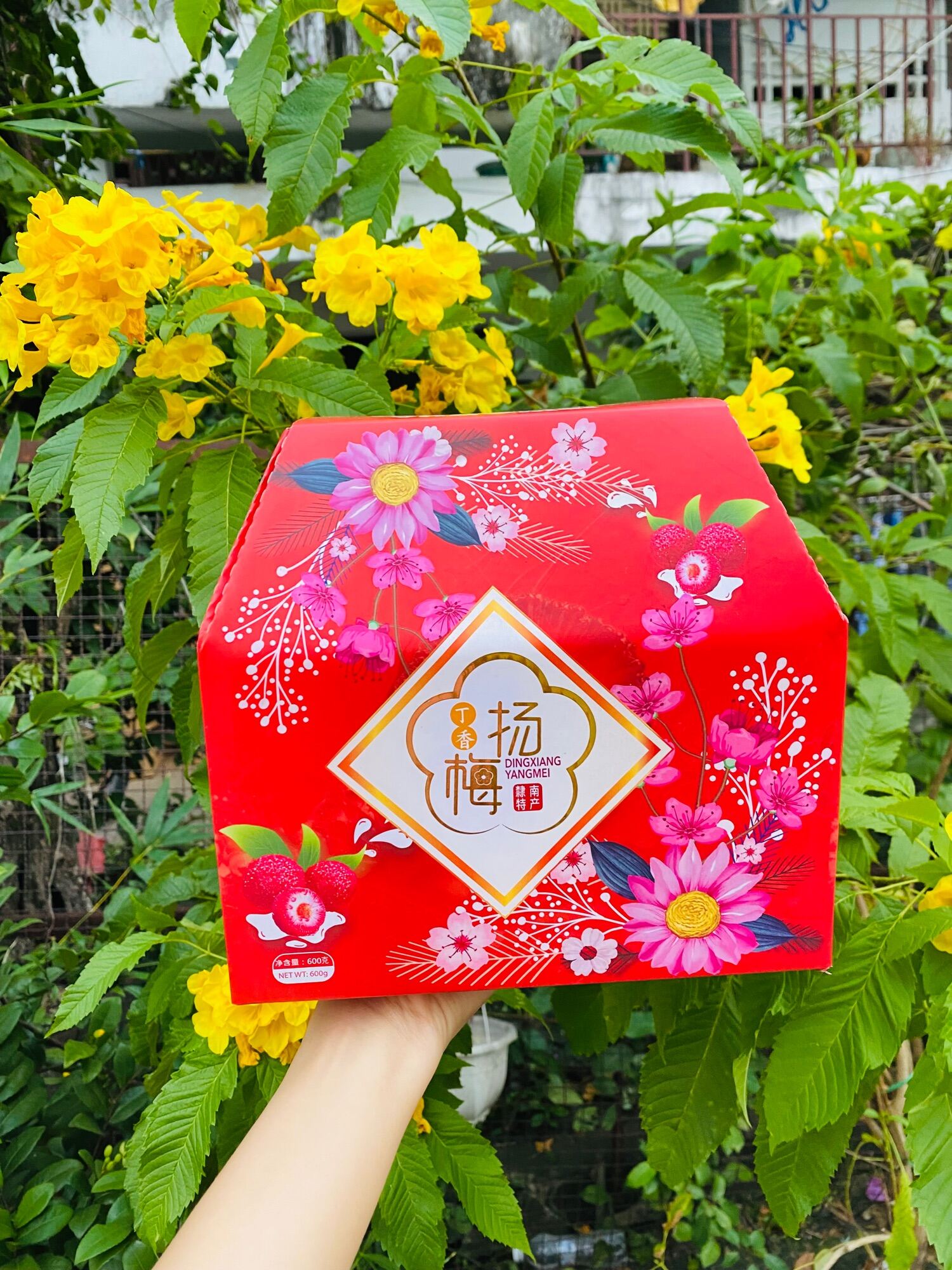 Ô mai thanh mai hộp giấy 600gram