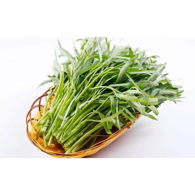Hạt Giống Rau Muống Lá Tre (50gr) Dễ Trồng Năng Suất Cao