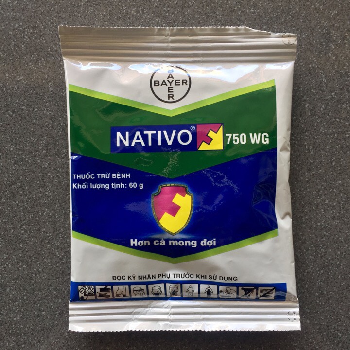 Thuốc trừ bệnh rỉ sắt, thán thư, lem lép hạt Nativo 60gr