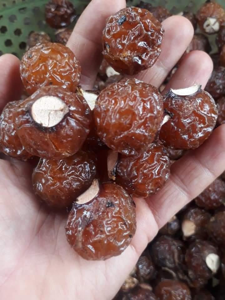 1kg bồ hòn chín dẻo + 1kg đường phên mật làm enzim