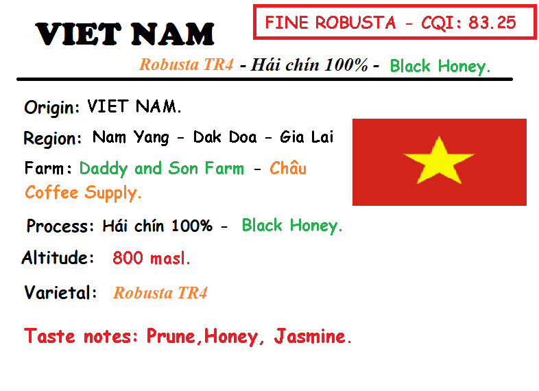 Fine robusta - hạt - 2 túi 250 gram - fine robusta black honey cqi : 83.25 điểm - chau coffee supply.