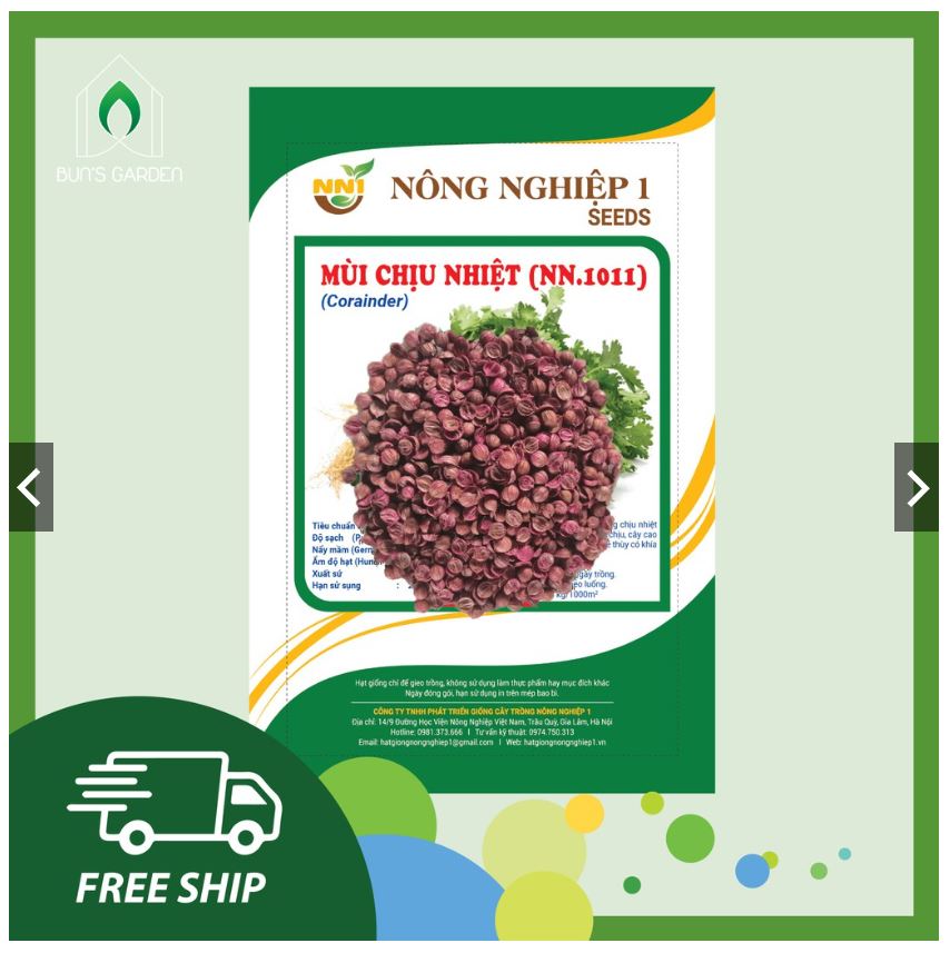 10g hạt giống rau mùi chịu nhiệt - trồng quanh năm, tỷ lệ nảy mầm trên 90%