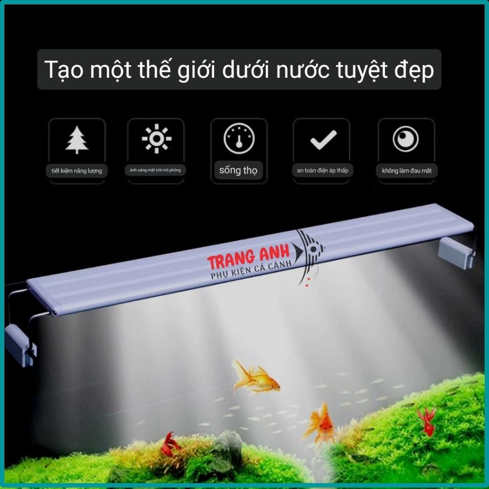 Đèn Led bể cá Jeneca SC-20, SC-30, SC-40, SC-50, SC-60 màu trắng trắng xanh