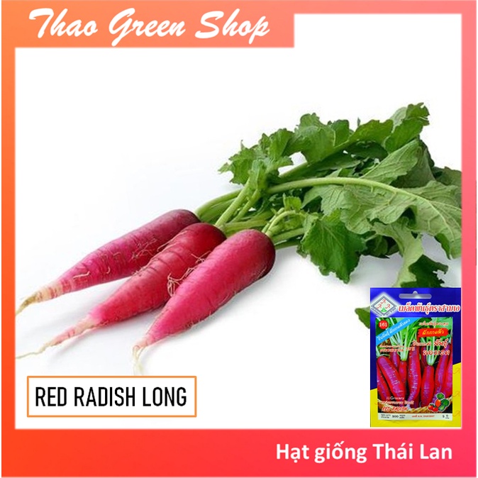 Hạt giống củ cải đỏ dài thái lan 300 hạt
