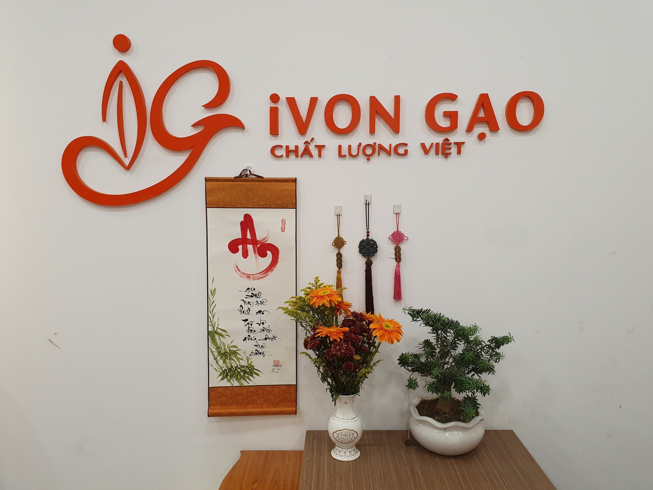 GIẢM GIÁ TRONG THÁNG - Lài Miên (Túi 5kg ) - Dẻo vừa, thơm nhẹ, ngọt cơm
