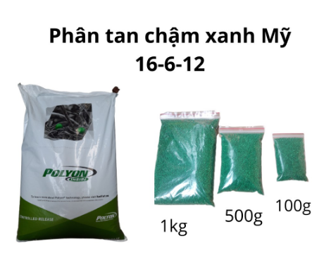 Phân tan chậm mỹ polyon hạt xanh 16-6-12