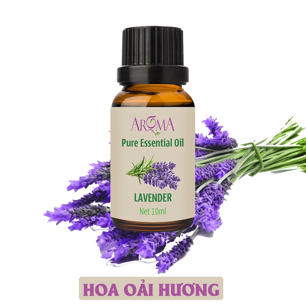 Tinh dầu Hoa Oải Hương Aroma thiên nhiên thơm phòng