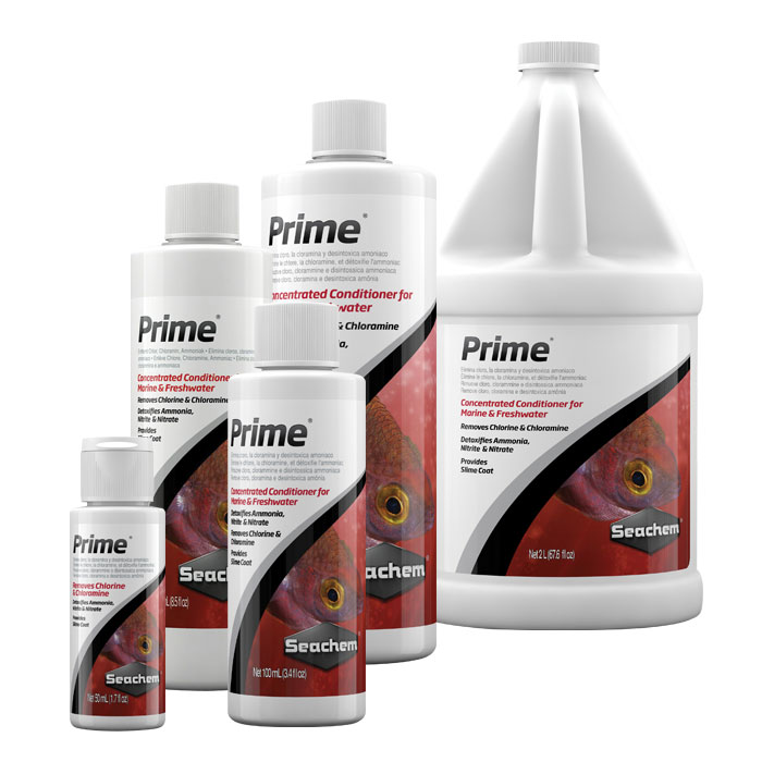 Dung dịch seachem prime 250ml