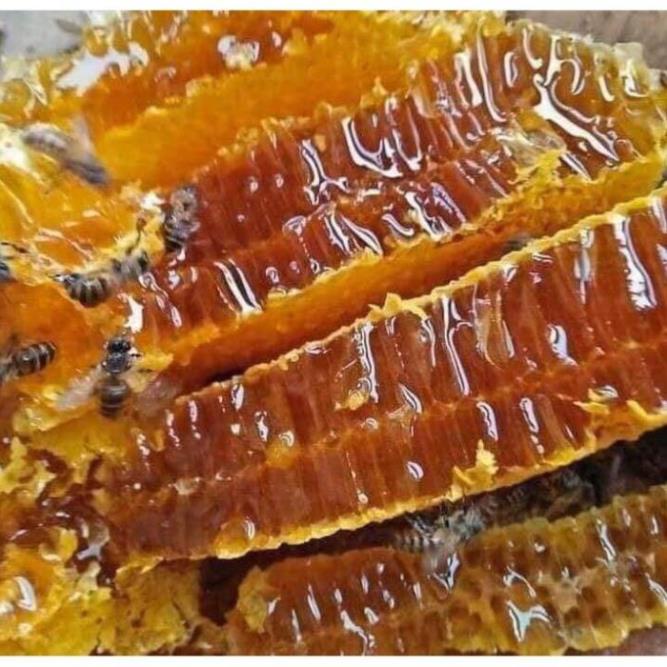 Pure Hung Yen Longan Flower Honey Domestic Bee Varieties