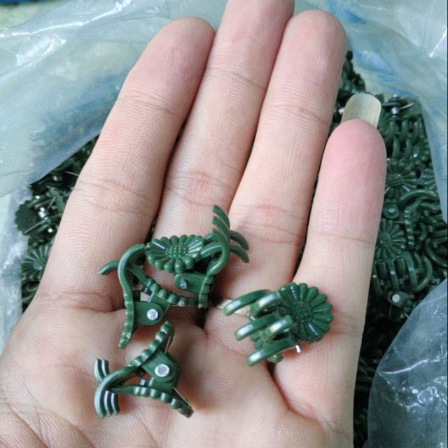 Kẹp bướm - 30 cái-dùng để kẹp các cành Lan giả hạc, hồ điệp