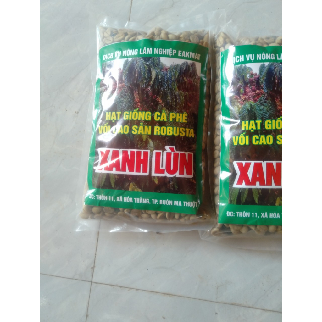 500gr hạt giống cà phê xanh lùn gói 500gr