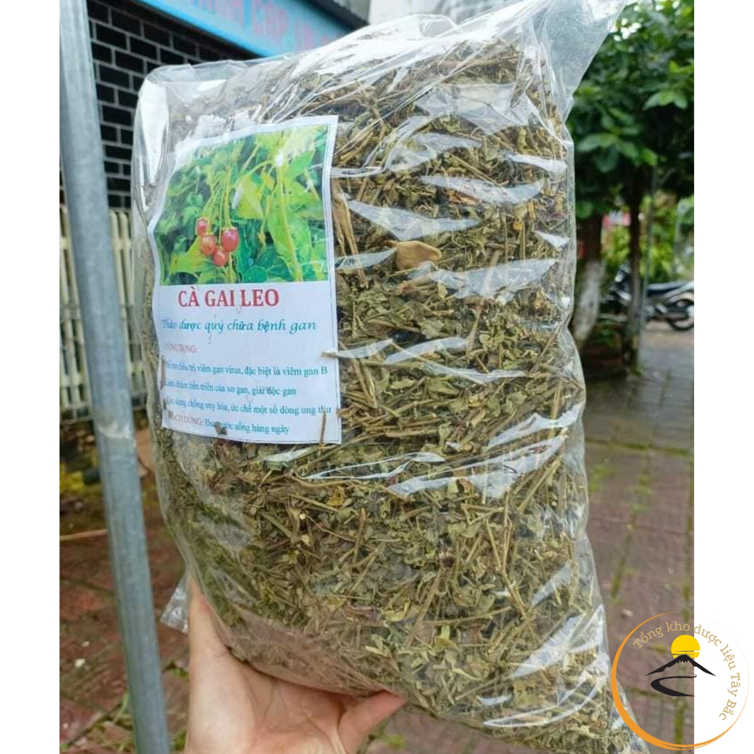 Cà gai leo khô loại 1, trà cà gai leo sấy khô giúp giải độc gan, giải rượu, hỗ trợ thanh nhiệt mát gan