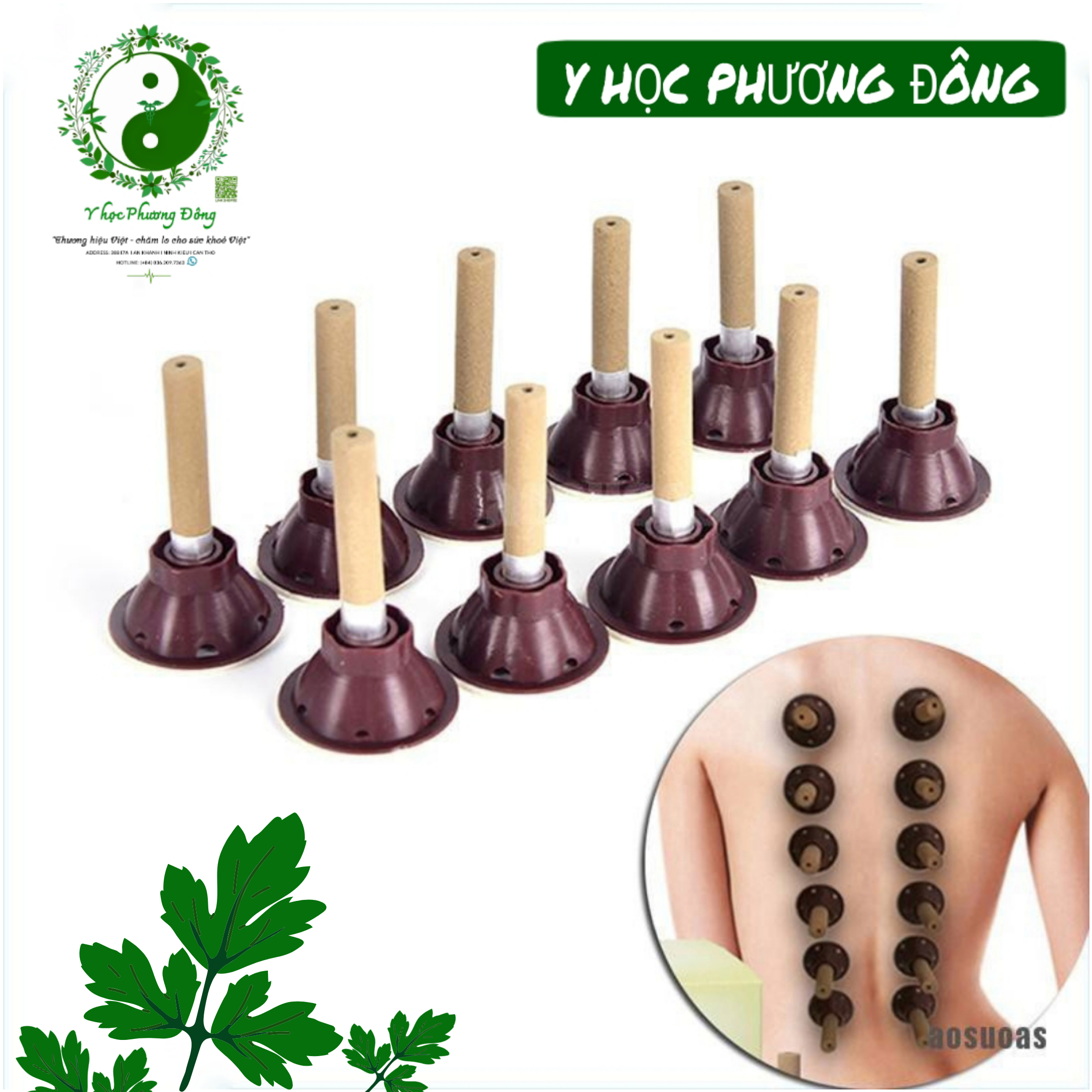 Hộp 50 điếu ngải đoạn có đế dán cố định