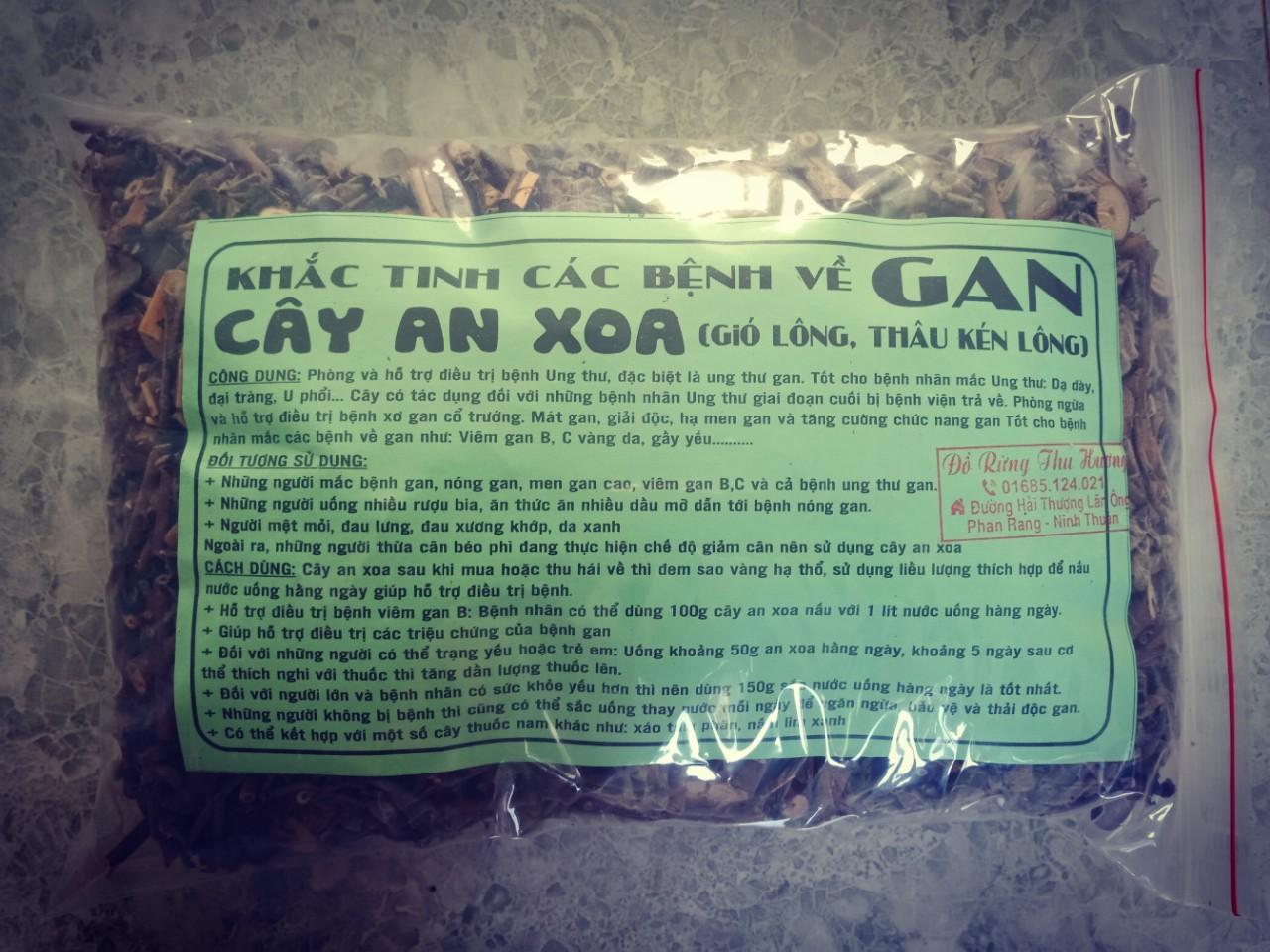 Cây An Xoa - khắc tinh bệnh Gan - dược liệu - thuốc nam