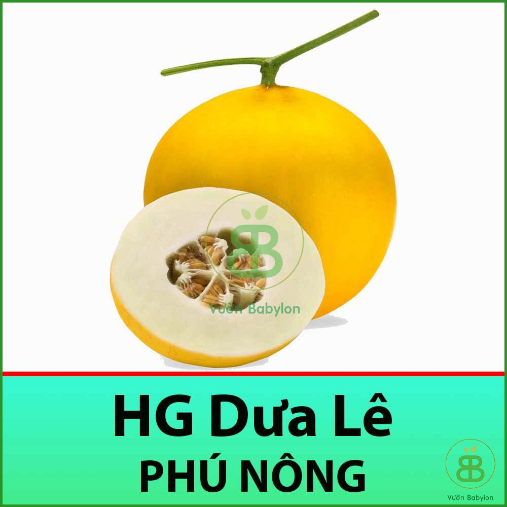 Hạt Giống Dưa Lê Siêu Trái, Nảy Mầm Nhanh 0.3gr