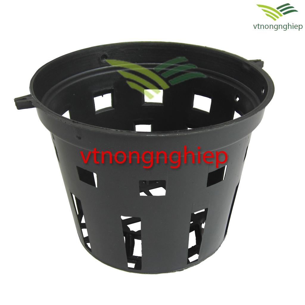 50 Chậu nhựa trồng Lan phi 16