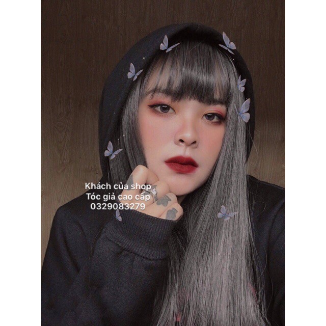 Tóc Giả Nữ Đẹp 💖FREESHIP💖 Tóc Giả Nguyên Đầu Thẳng Màu Xám Lạnh