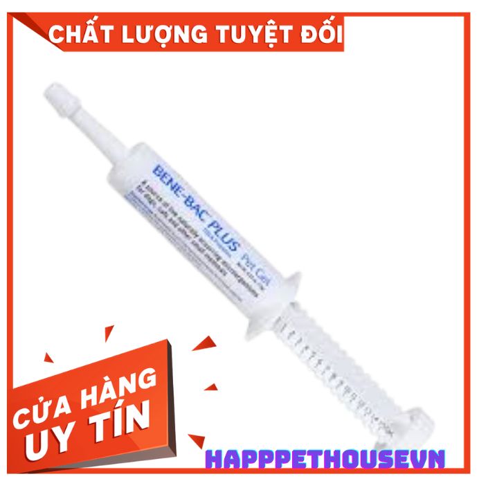 Men hỗ trợ đường ruột, tiêu hóa Bene Bạc Plus