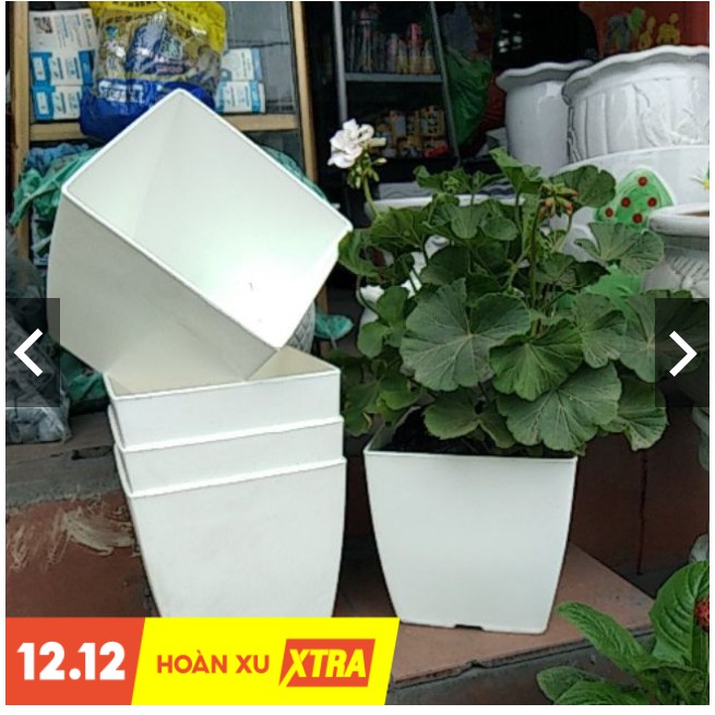 Chậu vuông v16 trồng hoa cây cảnh loại 1 dày đẹp