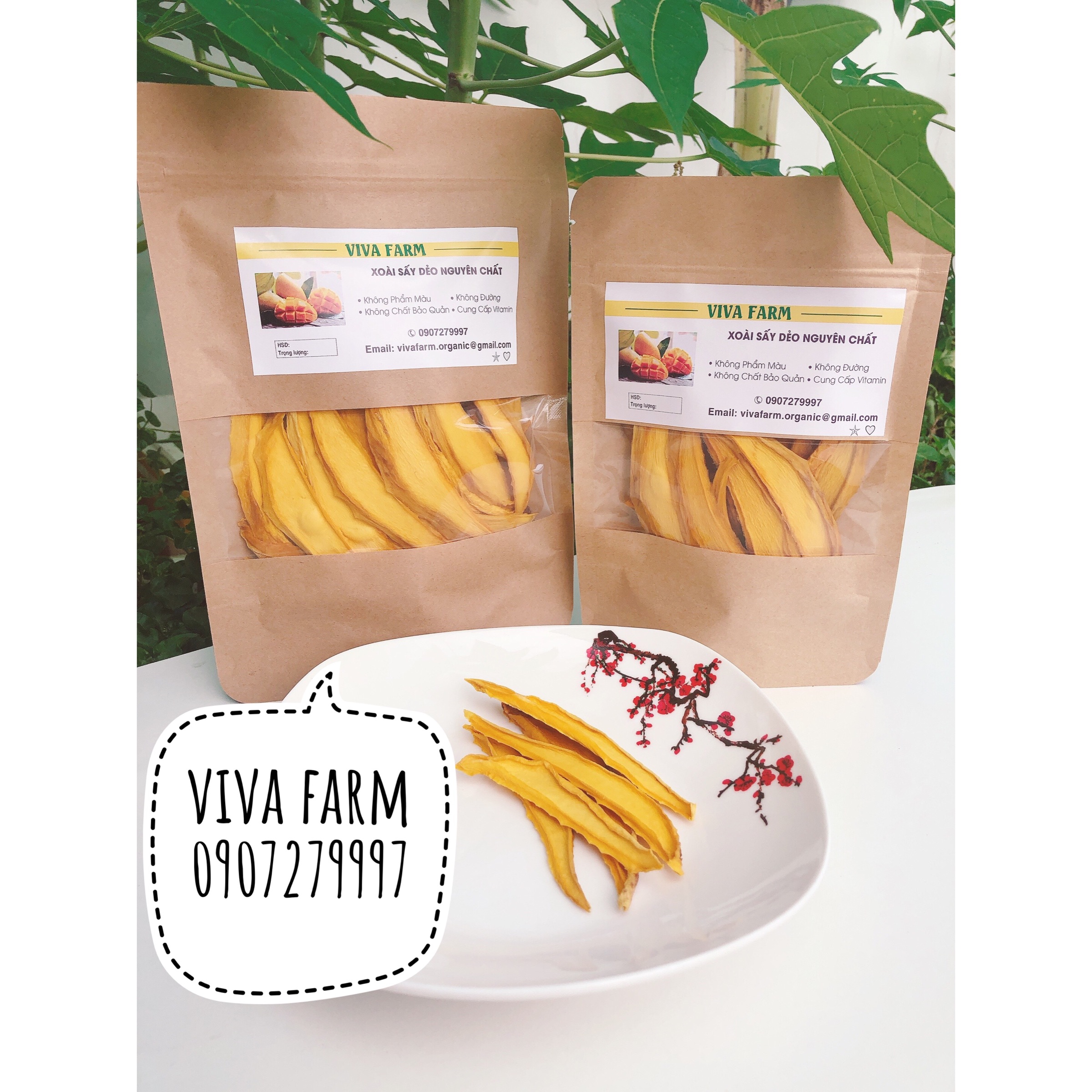 Xoài sấy dẻo 100gr | trái cây sấy dẻo VIVAFARM | trái cây sấy không đường không chất bảo quản