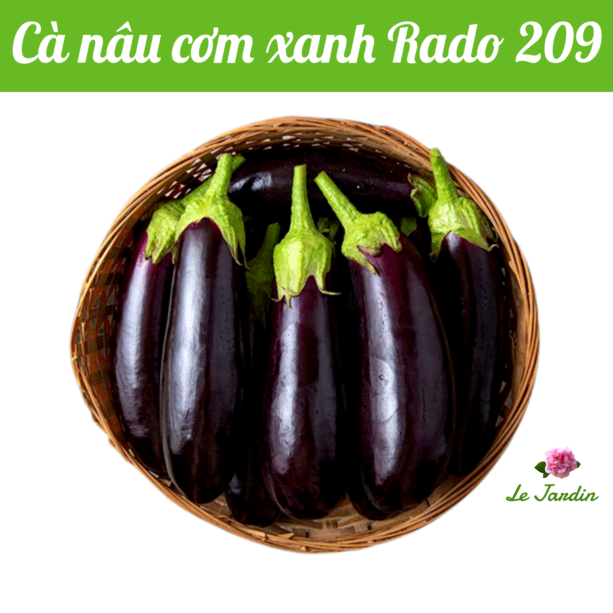 Hạt giống cà tím đen rado 209 gói 0,5gr - dễ trồng